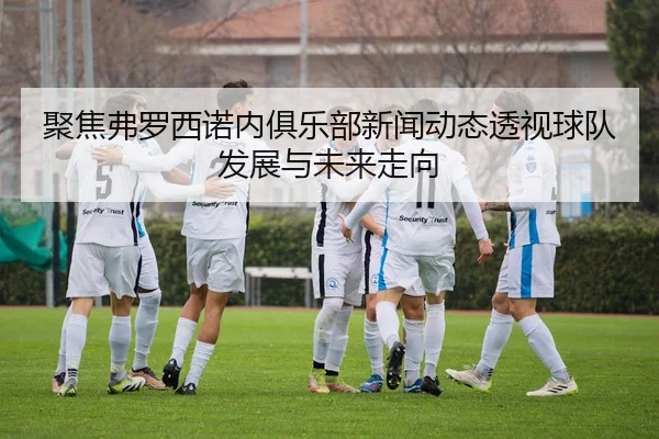 聚焦弗罗西诺内俱乐部新闻动态透视球队发展与未来走向