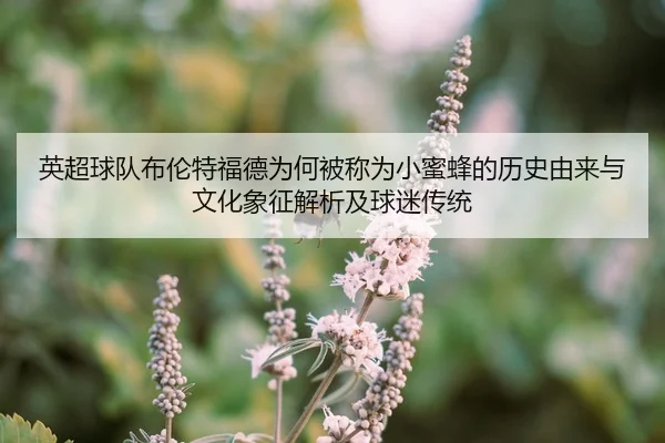ying-chao-qiu-dui-bu-lun-te-fu-de-wei-he-bei-cheng-wei-xiao-mi-feng-de-li-shi-you-lai-yu-wen-hua-xiang-zheng-jie-xi-ji-2-329.jpg
