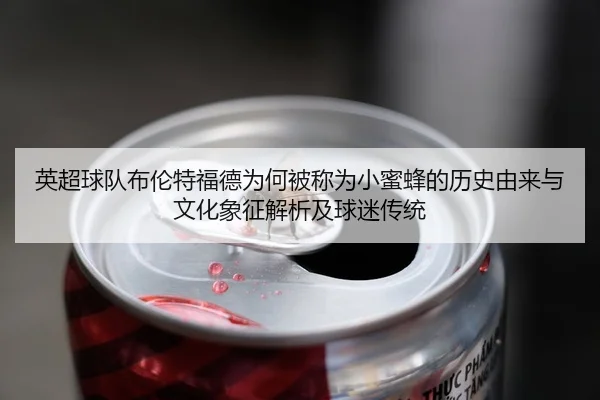 英超球队布伦特福德为何被称为小蜜蜂的历史由来与文化象征解析及球迷传统