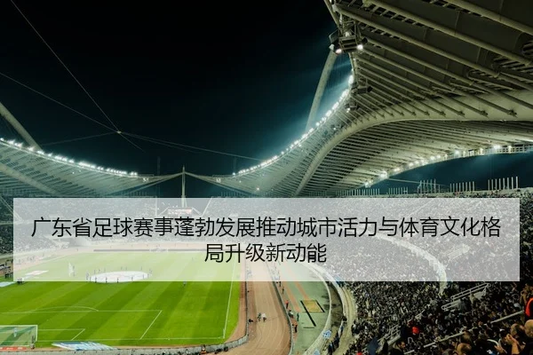 广东省足球赛事蓬勃发展推动城市活力与体育文化格局升级新动能