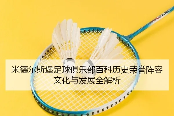 米德尔斯堡足球俱乐部百科历史荣誉阵容文化与发展全解析